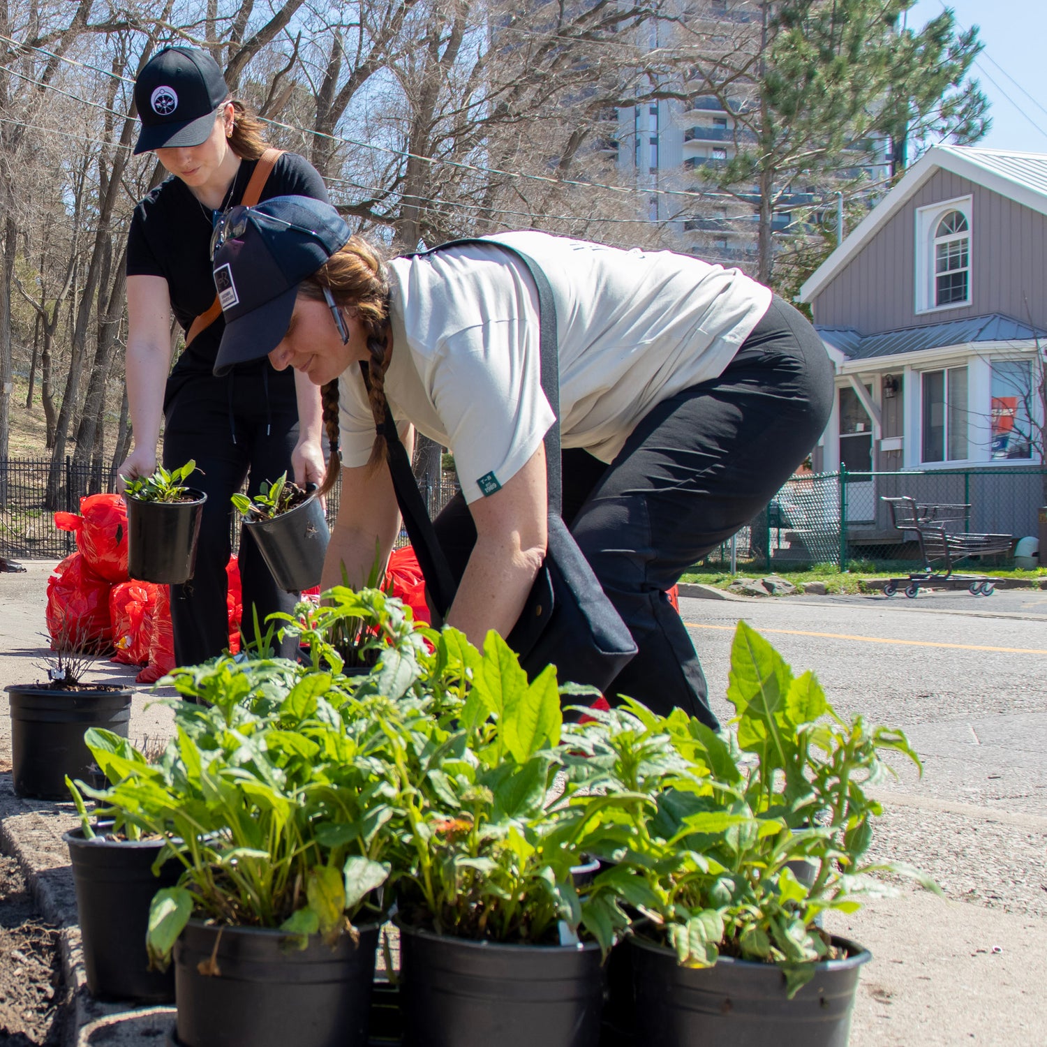 Deposit: Garden Services